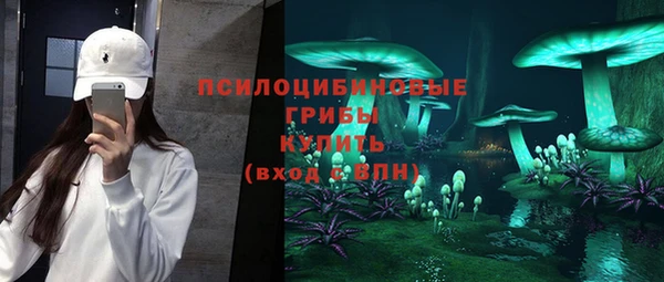 спиды Майский