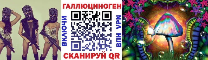 KRAKEN ТОР Вытегра Галлюциногенные грибы GOLDEN TEACHER