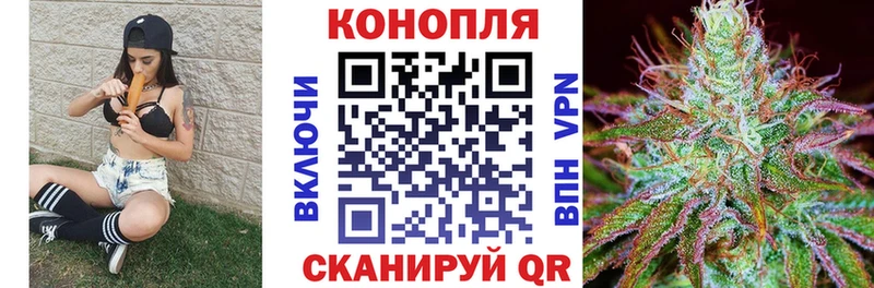 Бошки Шишки планчик  Вытегра 